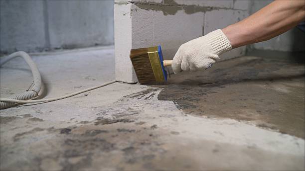 24/7 Emergency Crawl Space Encapsulation experts in Ringwood, NJ